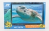 Picture of Sea Turtle Puzzle 63 Pieces